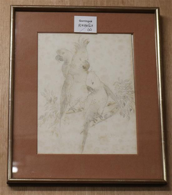 A Regency oval silk embroidered panel worked with a bird amongst branches and a drawing of cockatoos 40 x 28cm